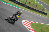 brands-hatch-photographs;brands-no-limits-trackday;cadwell-trackday-photographs;enduro-digital-images;event-digital-images;eventdigitalimages;no-limits-trackdays;peter-wileman-photography;racing-digital-images;trackday-digital-images;trackday-photos